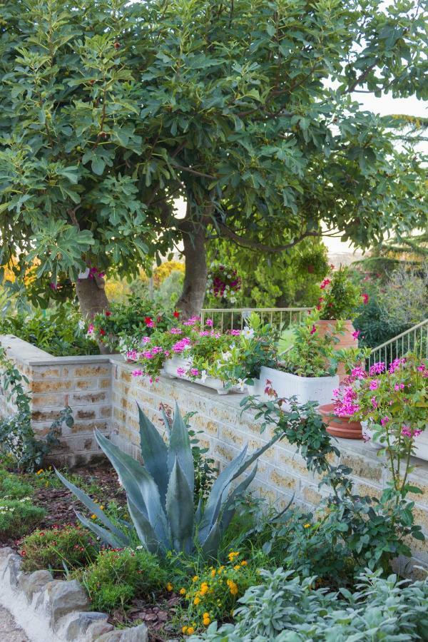 Le3Sorelle Monterosi Exterior photo